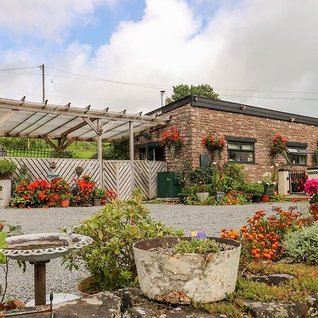 Ffynnonlwyd Cottage Llangynin Exterior foto